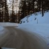 27 coppa dalla favera_31